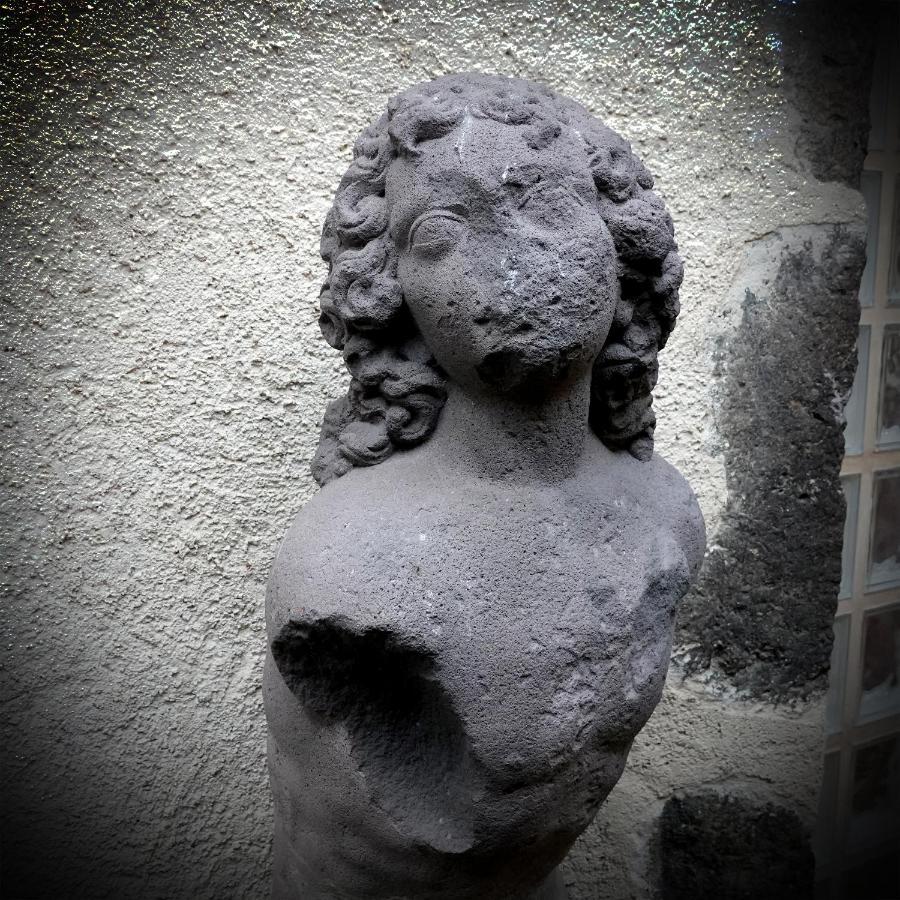 Appart' De La Collegiale Bourbon-Lancy Buitenkant foto